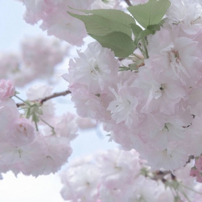 昌江FurryQQ群介绍